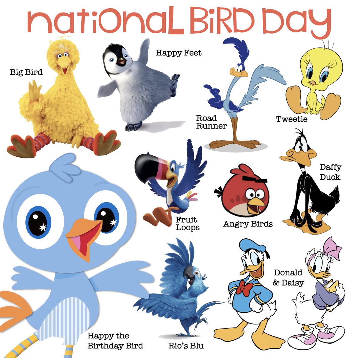 Happy the Birthday Bird tweet media