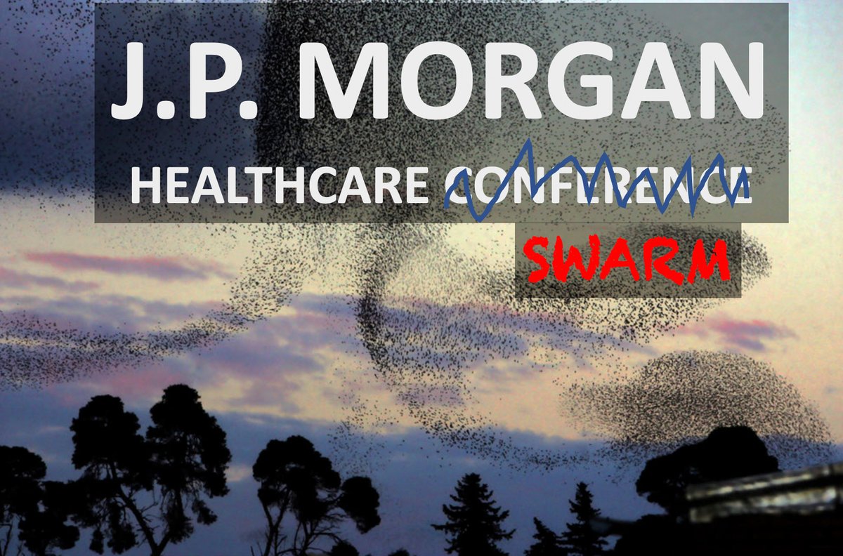 BioLingus2's tweet photo. Looking forward to join the annual "JPM swarm" and the BIO-HUB !

#Fiercebiotech #StartupTickerCH #SIPbasel #SwissHLG #PLG #BIO #JPM2022 
https://t.co/TCdLg0E2nB https://t.co/dfVIHnOZfr