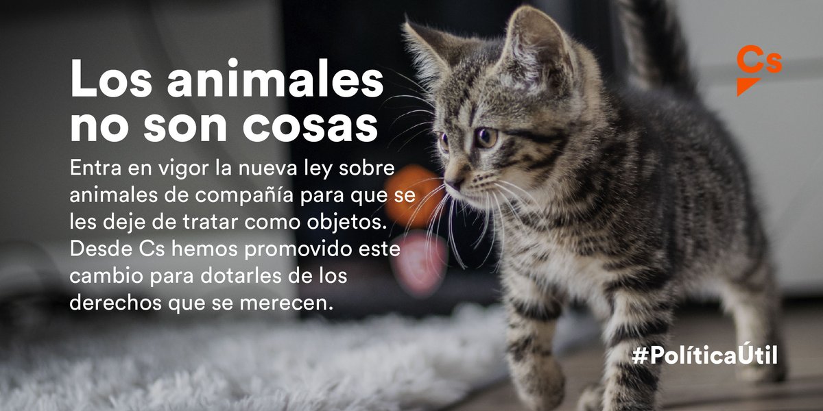 Cs_Asturias's tweet photo. 🐱 Desde hace ya casi 5 años Cs lleva defendiendo que los animales no sean considerados "cosas".

👉 Nuestra iniciativa, presentada por 1ª vez en 2017, se ha materializado en una nueva ley que hoy ha entrado en vigor.

🧡 Los animales por fin tendrán los derechos que se merecen. https://t.co/N5gz2Ravy3