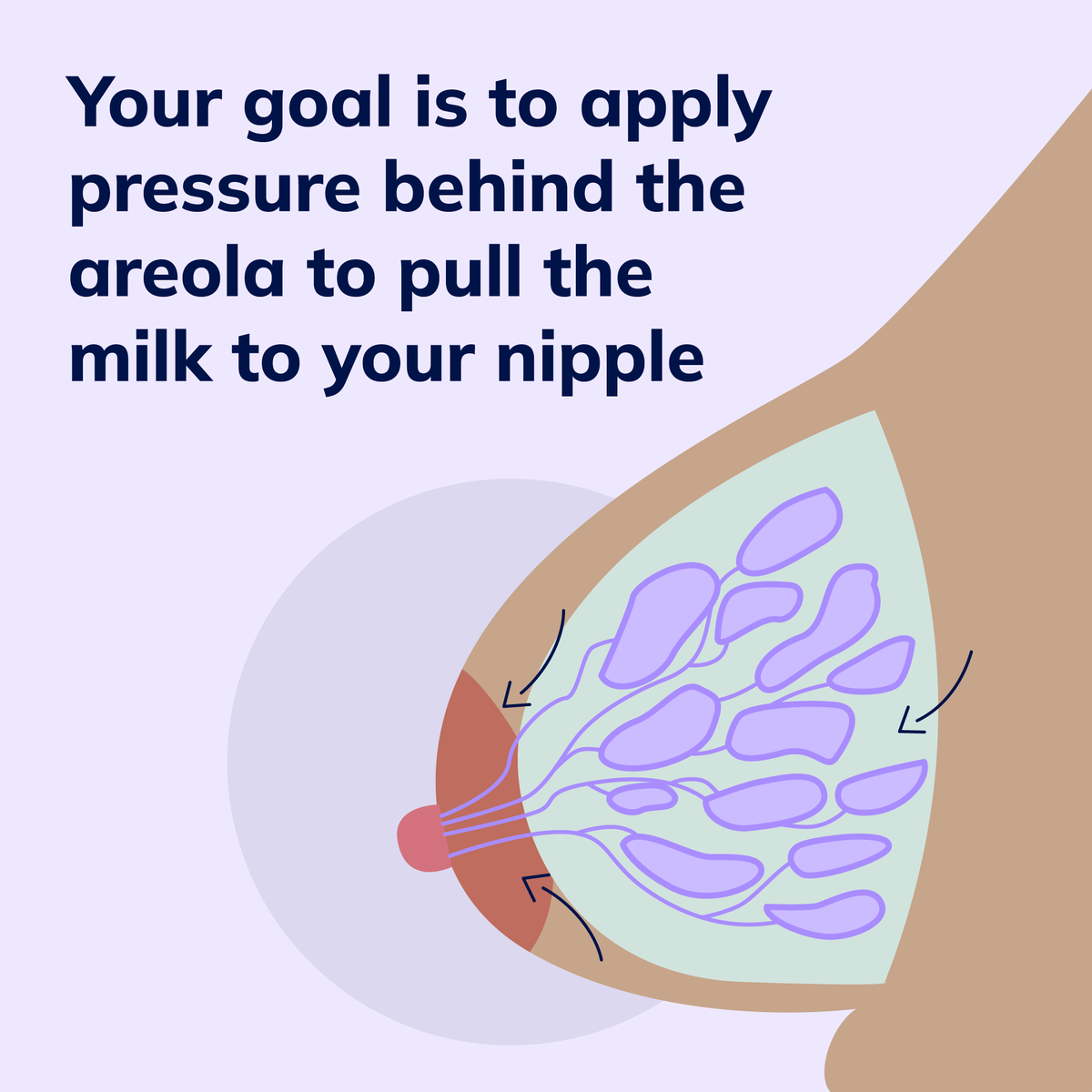 pacifyapp's tweet photo. If you are engorged or don't have a pump nearby, hand expression can mean quick relief. Here's a quick guide to hand expressing. #handexpressing #handexpression #nursing #breastfeeding #newparent #breastfeedingtips #lactation #breastfeedingjourney #breastfeedingsupport https://t.co/JPPNv2PfHi
