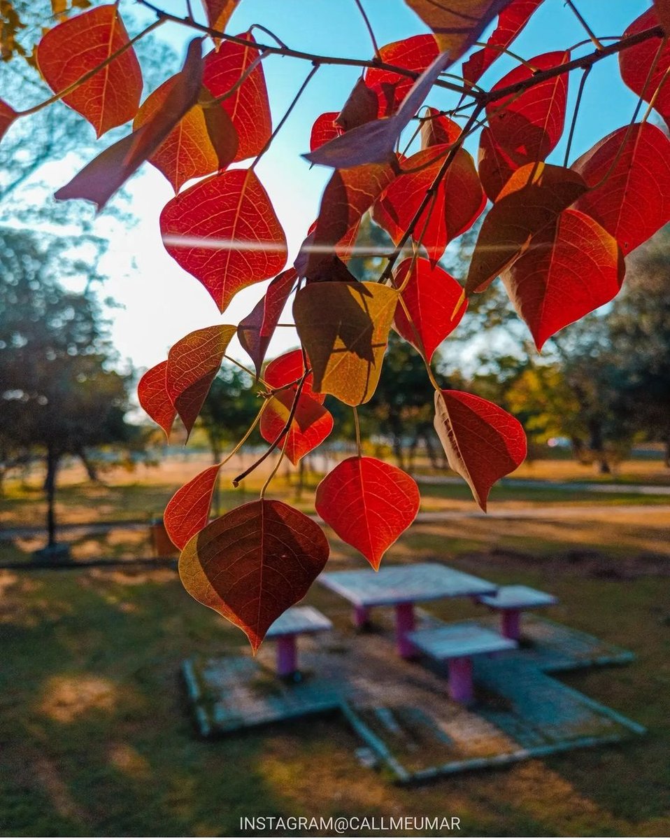 Islamabadies's tweet photo. #Islamabad The Beautiful 🍂 ☔ 🇵🇰 https://t.co/RjWKvQY16Y