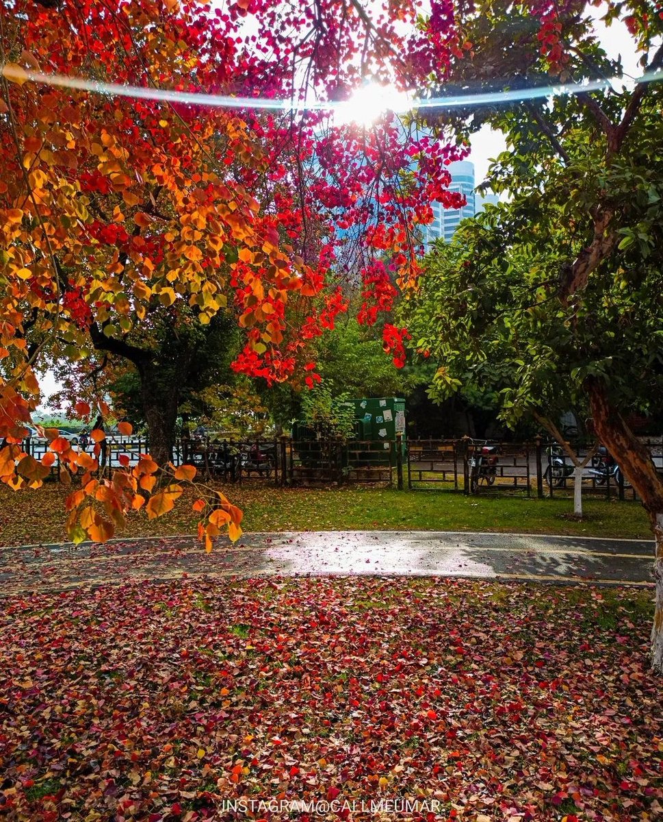 Islamabadies's tweet photo. #Islamabad The Beautiful 🍂 ☔ 🇵🇰 https://t.co/RjWKvQY16Y
