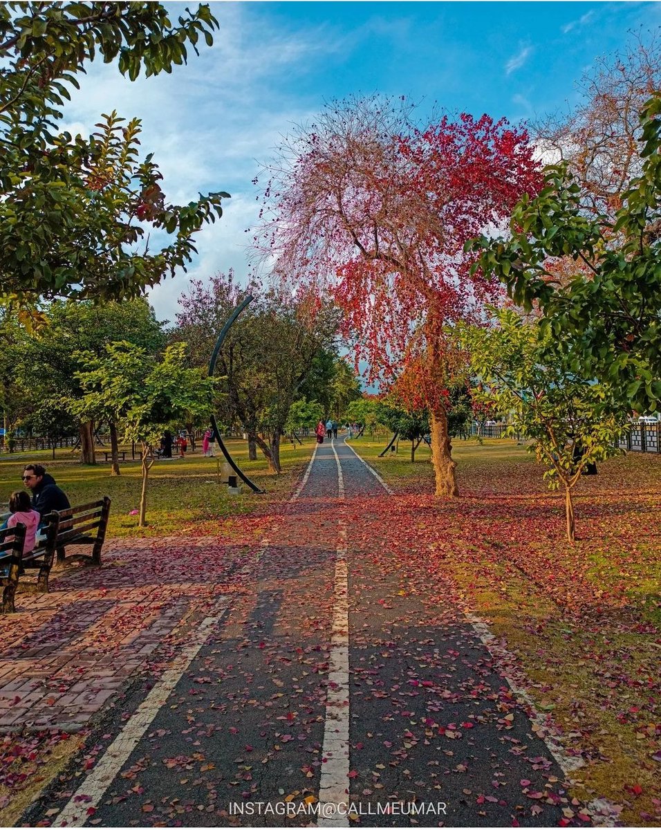 Islamabadies's tweet photo. #Islamabad The Beautiful 🍂 ☔ 🇵🇰 https://t.co/RjWKvQY16Y