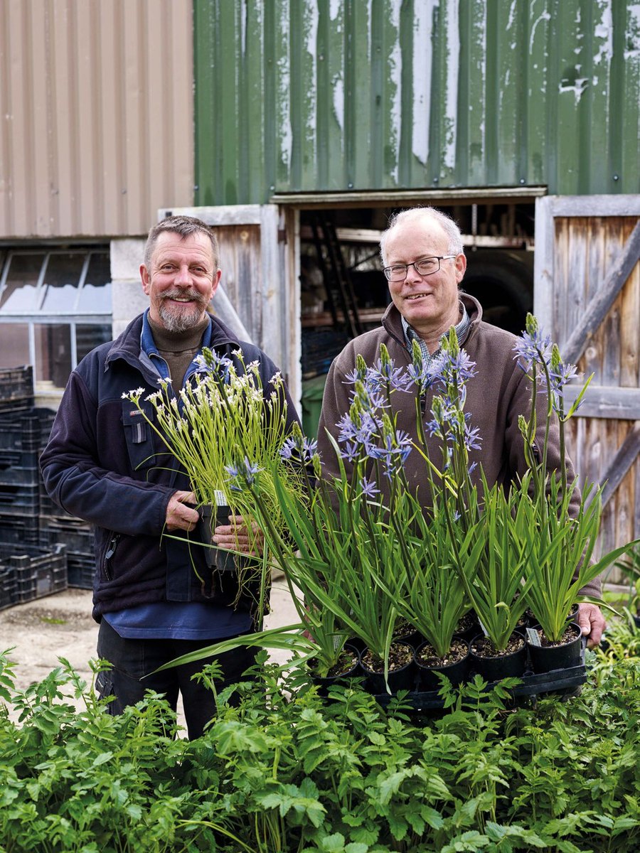 GardeningSaul's tweet photo. #SNOWDROP DAY: For all you #Devon Galanthophiles the Devon @HardyPlantSoc is having a special Snowdrop meeting this Sat 8th Jan 2pm at Longdown Hall, nr. Exeter. Both @avonbulbs and Elworthy Plants are selling plants, and we have a talk from Micky Little too (£2 non-HPS members) https://t.co/5VGFl5I8oK