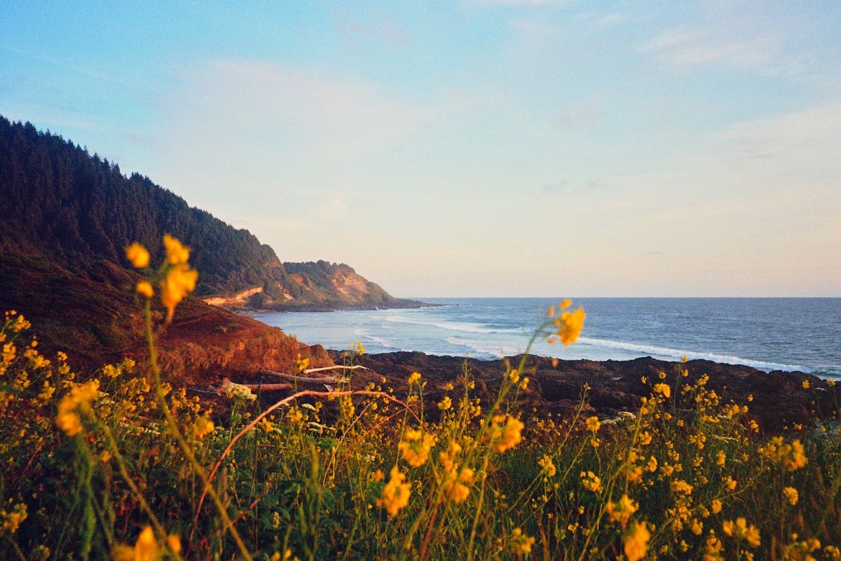 alexxhinson's tweet photo. oregon on film https://t.co/rpyDrIJcJ5