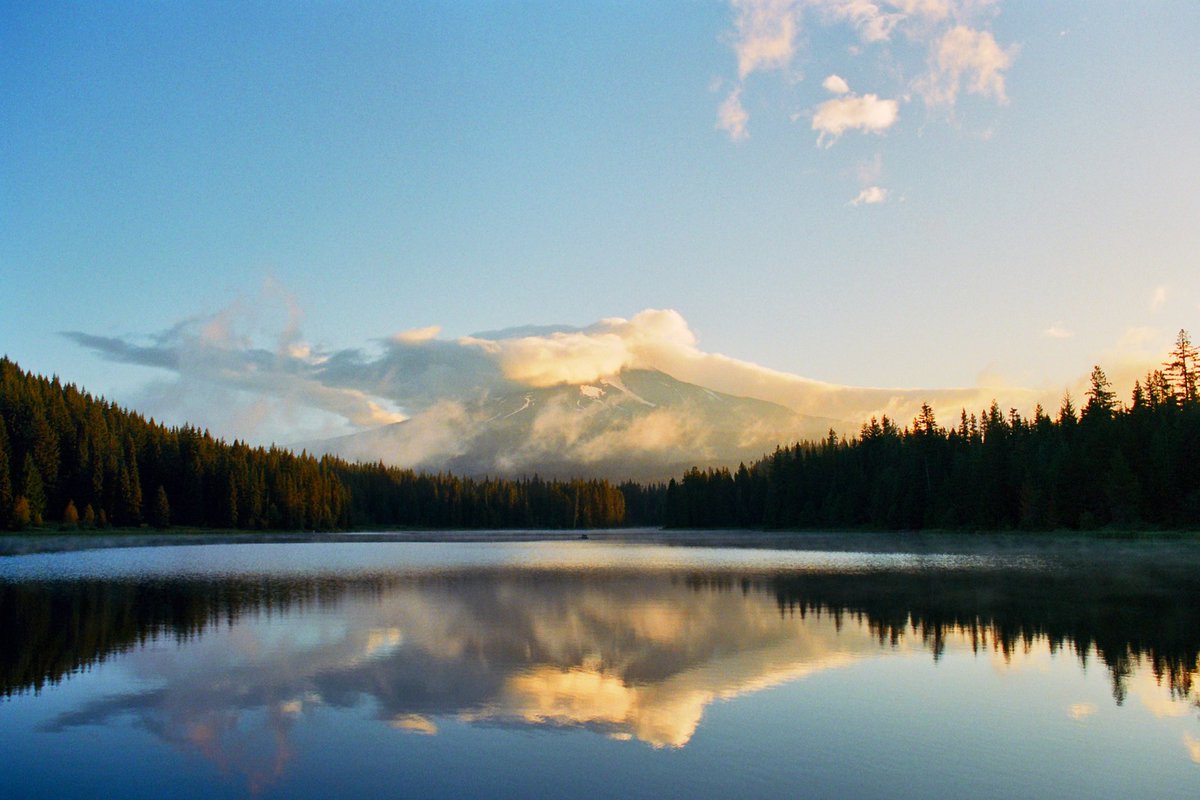 alexxhinson's tweet photo. oregon on film https://t.co/rpyDrIJcJ5