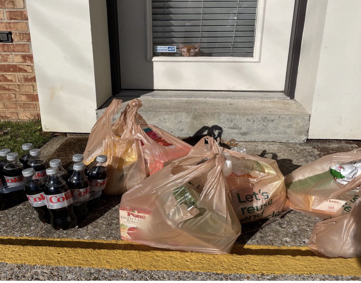 RenlyBYO's tweet photo. Catch me on the instacart notification https://t.co/nsPkIvXbT7