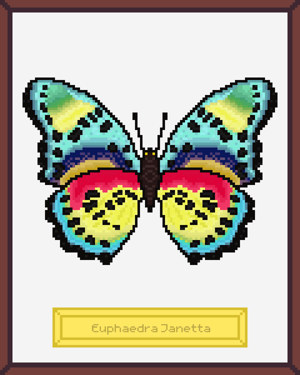 ButterfliesNFTs's tweet photo. One of 500 handcrafted  #NFT real butterflies created in collaboration Butterflies Museum X @bit_colors
on @opensea ⬇️⬇️⬇️

https://t.co/SW6bl0VVpb 

List of items in Discord https://t.co/FKY2xkgy3y

#NFTs #NFTCommunity #nftcollector https://t.co/KeCxtjygEC