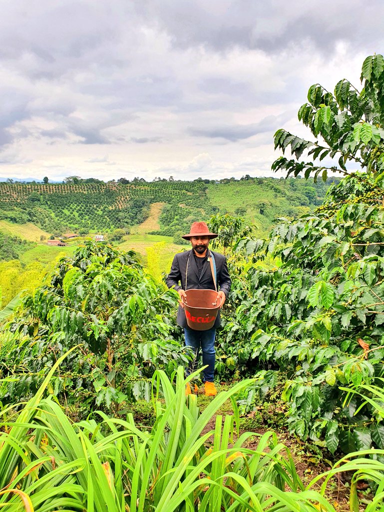 ppzuniga's tweet photo. #recuca ☕🇨🇴 https://t.co/UD2mYgSGA7