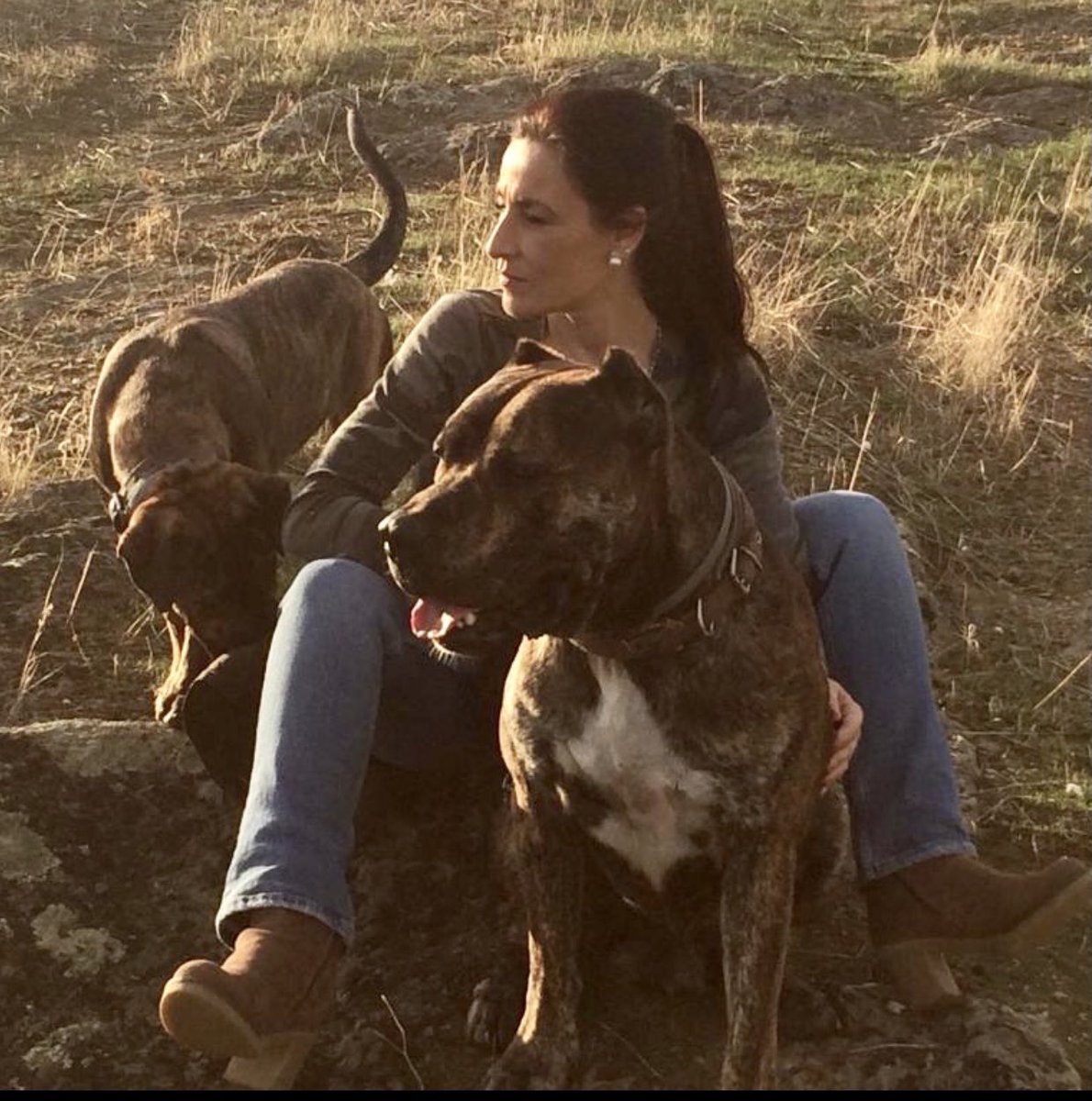 malenanevado's tweet photo. Que no os engañen con la #LeydeBienestarAnimal.
La idea no es proteger los animales,es utilizar la sensibilidad para terminar prohibiendo los #Toros,la #Caza y la #Carne, si la carne @agarzon, y el gobierno está de acuerdo y arrodillado a las élites que diseñan todo este tinglao. https://t.co/v2WwLvp3tm