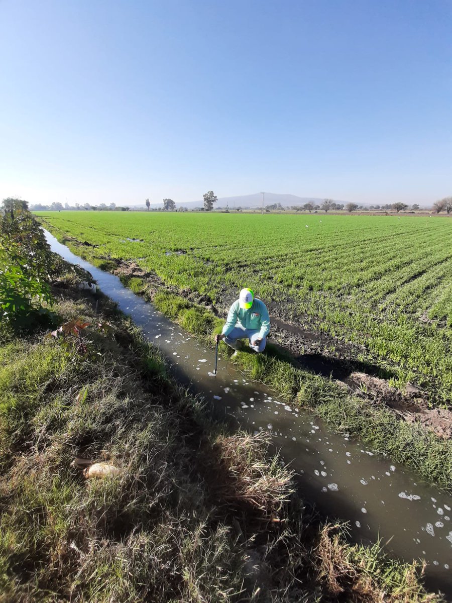 francisco25_03's tweet photo. Prueba de riego de diagnóstico en el municipio de Abasolo, aforo parcelario y  toma de puntos de avance, esto con la finalidad de dar una recomendación, para un uso eficiente del #agua en los tendidos de riego.
@SDAyR_GTO @MUAC_GTO https://t.co/7ej75mnw0D