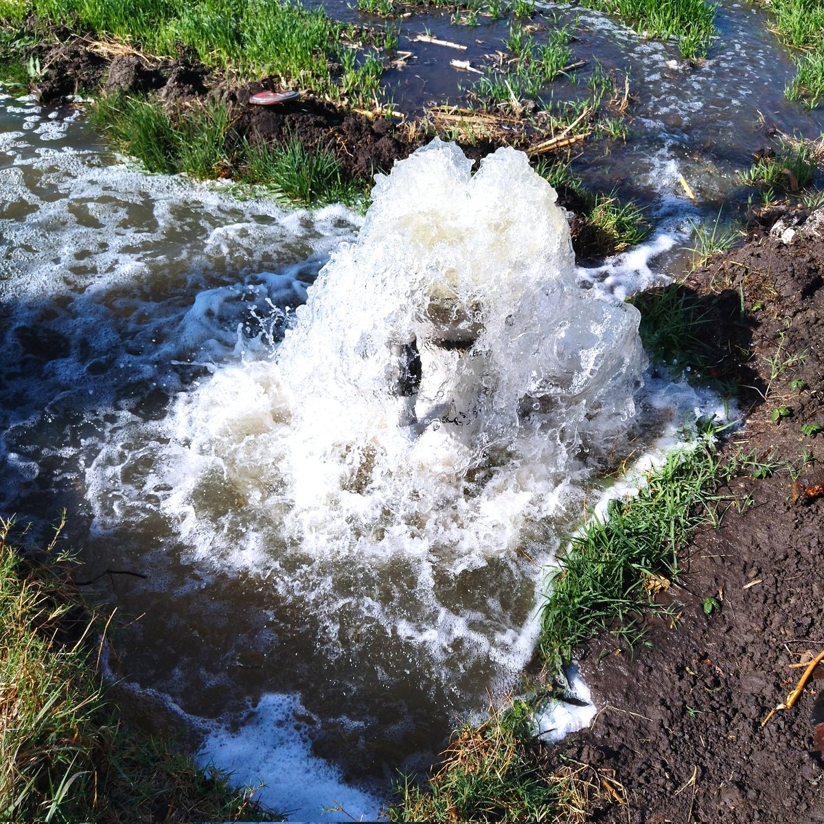 francisco25_03's tweet photo. Prueba de riego de diagnóstico en el municipio de Abasolo, aforo parcelario y  toma de puntos de avance, esto con la finalidad de dar una recomendación, para un uso eficiente del #agua en los tendidos de riego.
@SDAyR_GTO @MUAC_GTO https://t.co/7ej75mnw0D