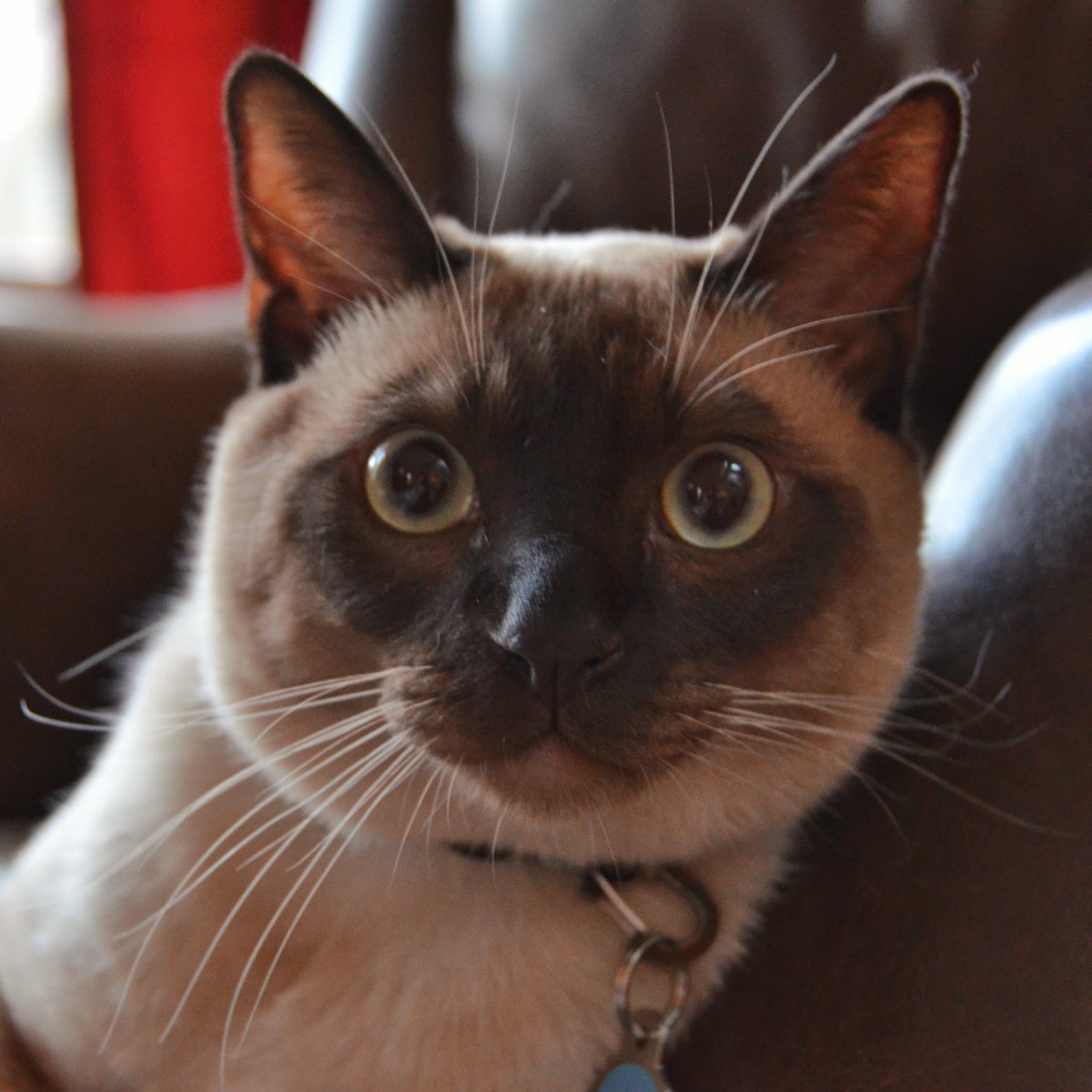 Terry Munson tweet media