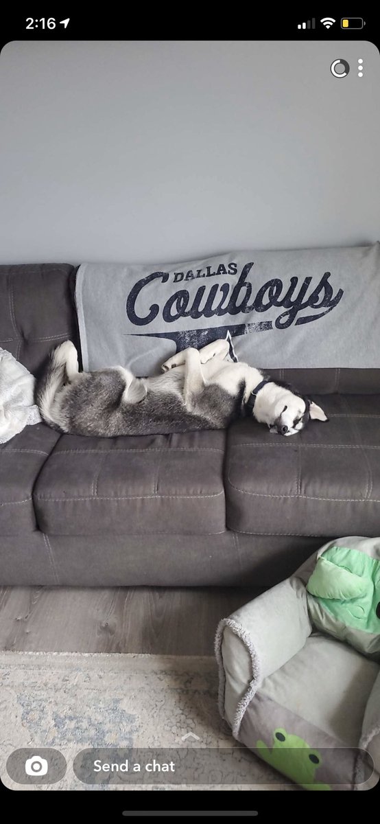 ashley_charnock's tweet photo. River, my brothers husky 🥰 https://t.co/Aj08Lsuflp