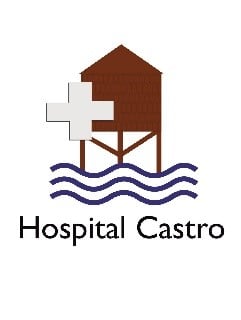 hospital_castro's tweet photo. Hospital Base de #Castro provincia de  #Chiloé  necesita contratar para su equipo médico a los siguientes profesionales;
-Neonatólogo
-Pediatra 
-Médico Internista 
Enviar antecedentes al correo subdirectormedico@hospitalcastro.gob.cl https://t.co/xVwJ4Joga9