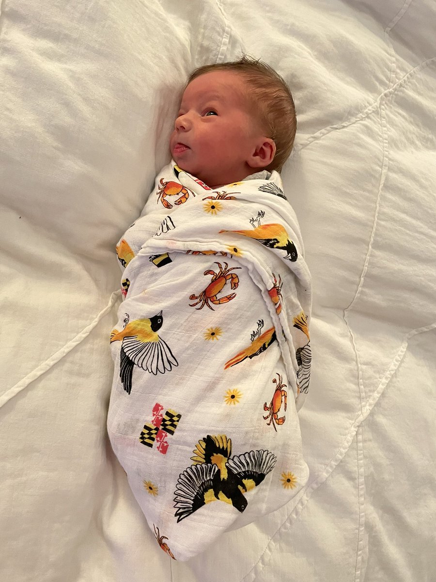 Mrs. Brond tweet media