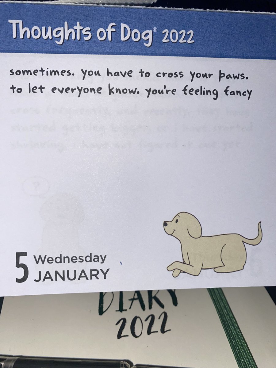 sjsmyth83's tweet photo. Fancy!! @dog_feelings 🥰 https://t.co/hDOWApR3GD