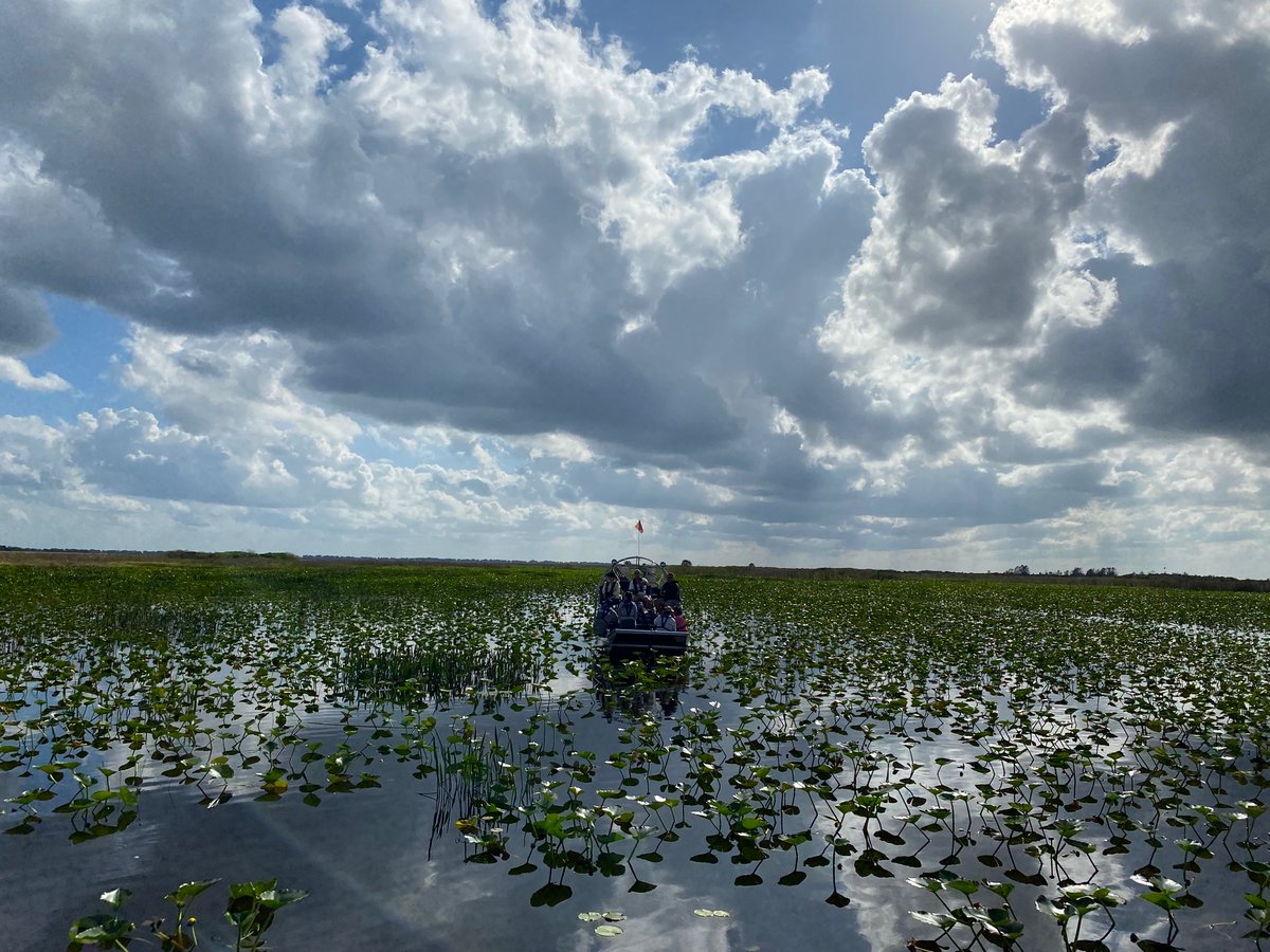 LibbyAPigman's tweet image. Lots of snail kites out on Lake Istokpoga today. Thank you to @MyFWC for a great tour.