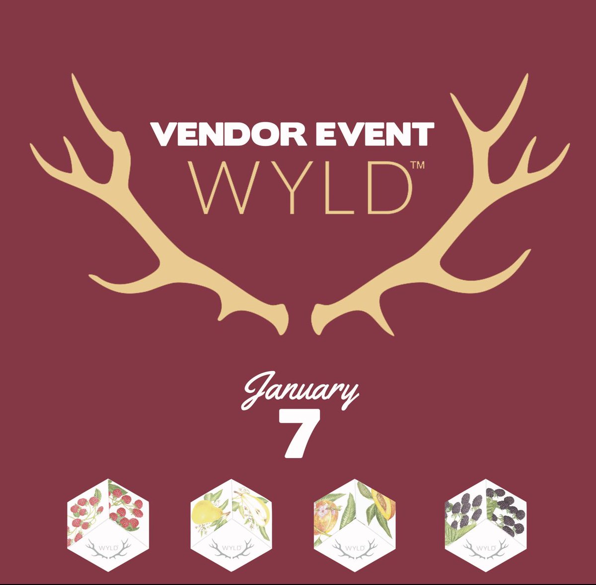 TucsonSaints's tweet photo. WYLD vendor event! Jan7!! Check our website for more info! https://t.co/TaubKhEVBc