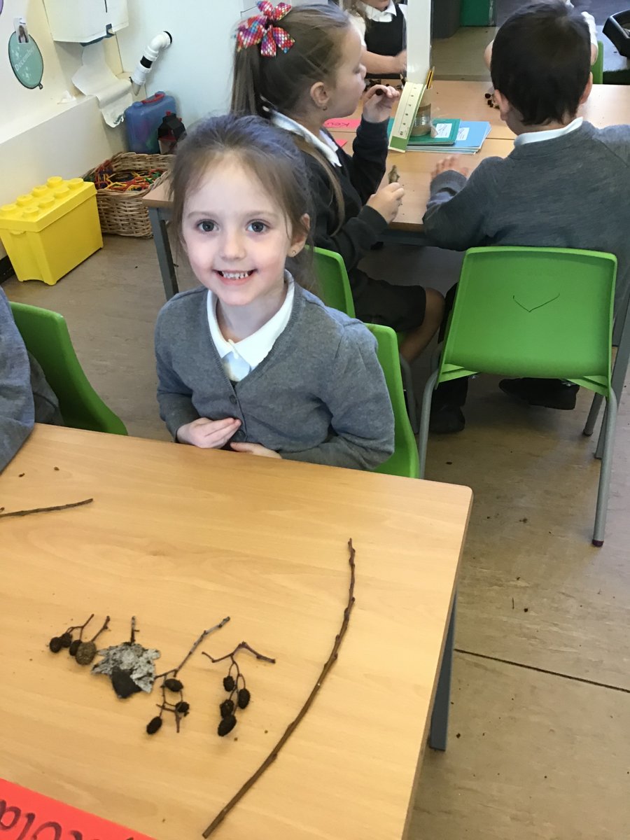 MrsEdgarlmp's tweet photo. Can you tell these children were happy to be back in school today?! #thelitherlandmossway #cheeeeeeese https://t.co/XKRcB4itfA