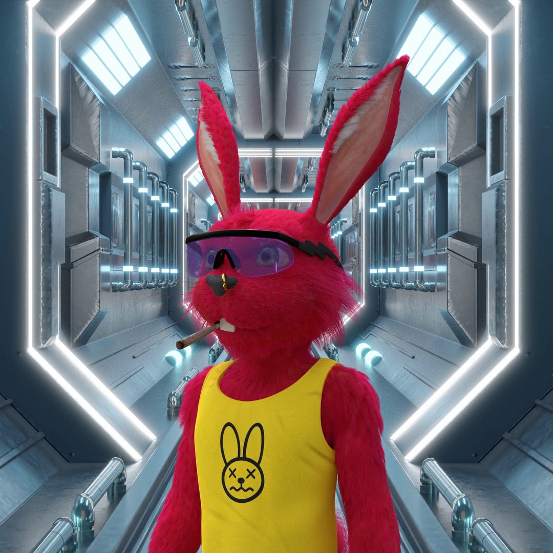 CurrencyChaserr's tweet image. Aug 29, 2021 I shilled @iwillnotmakeit enough to buy our first retro fur fluf, 8 days later with some help from our good friend @blue_chip_kelly, we had acquired 3 more flufs( 1 more male &amp;amp; 2 females) looking back on it now, one of the best decision K9🧢 has made to date💎🔒