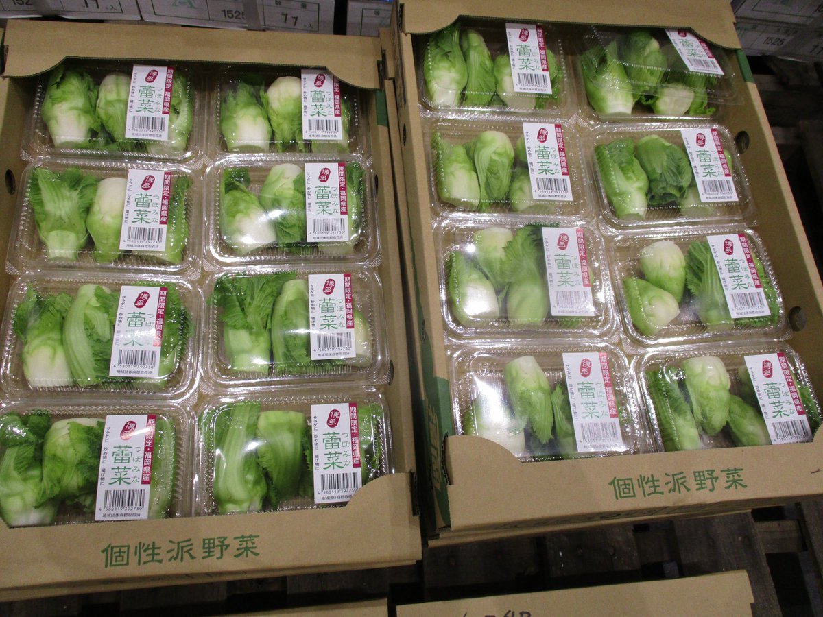 تويتر 蕾菜 البحث في تويتر