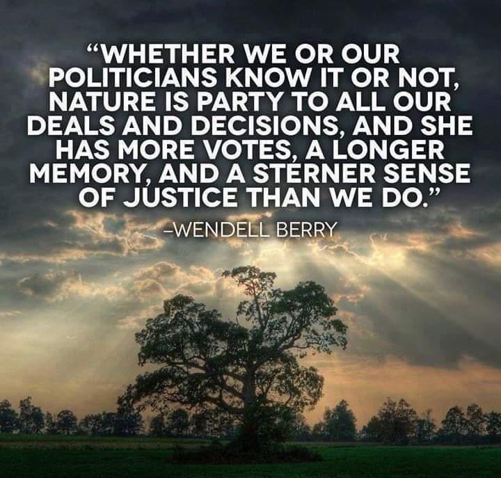 SaveSlochy's tweet photo. Let battle commence.
#saveslochywoodlands #ClimateAction #ClimateEmergency #ClimateActionNow #ExtinctionRebellion #EnvironmentalJustice https://t.co/JmPDrYS3wX