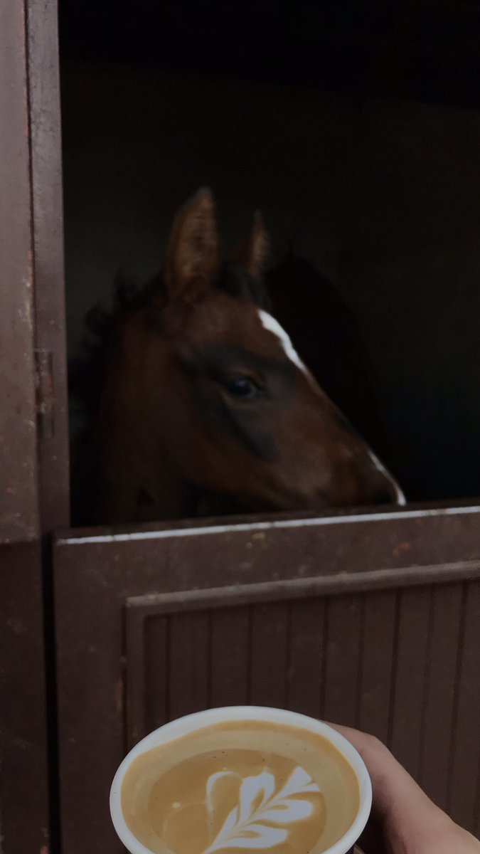 mms7363's tweet photo. 5  January 2022 🌾🐎 https://t.co/C9VVUmddK3