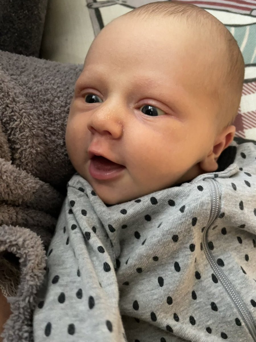 MareHughes's tweet photo. Just obsessed w/ my nephew and nieces 🥰👶🏼👶🏻 https://t.co/aJVwYKMN4R