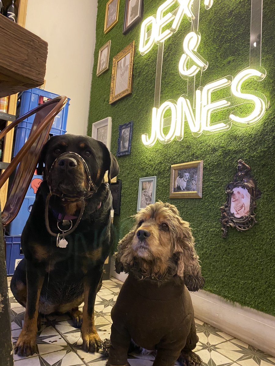 brollybruce's tweet photo. Always a great welcome @dexterandjones - and a great photo opportunity ! https://t.co/kiGhxu4OFf