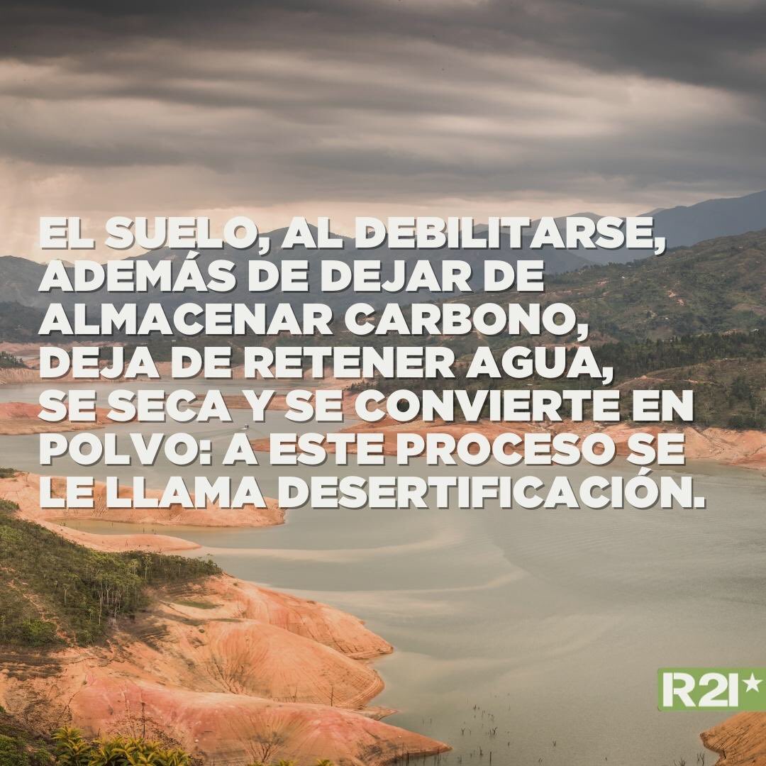 R21org's tweet photo. ⬆️ El aumento de las temperaturas debido al cambio climático está generando que los suelos pierdan sus cualidades y se desertifiquen.

Estos factores generan cambios irreversibles, erosionando, degradando la tierra y afectando la biodiversidad de estas zonas.

@CharlyAlberti https://t.co/htZqq33xFL