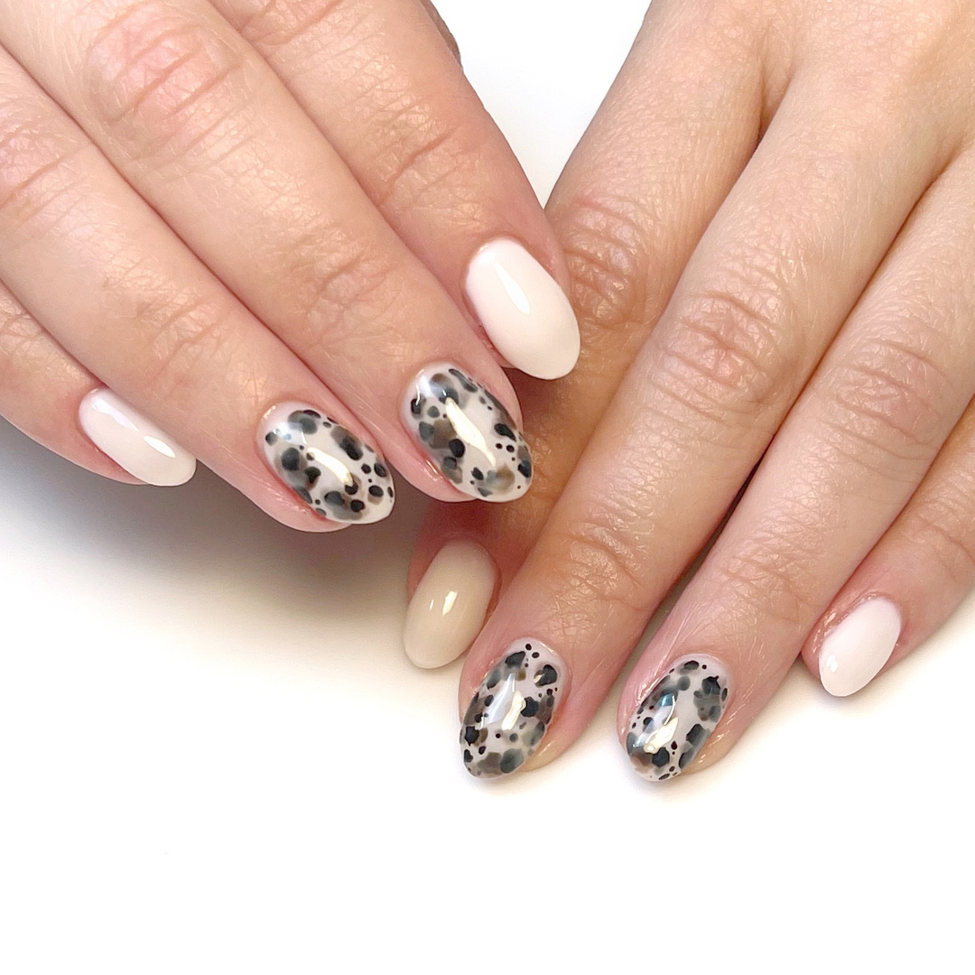 Blonde torts just hit different 🐢