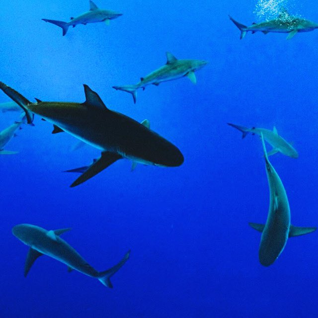 STEM on Demand tweet media