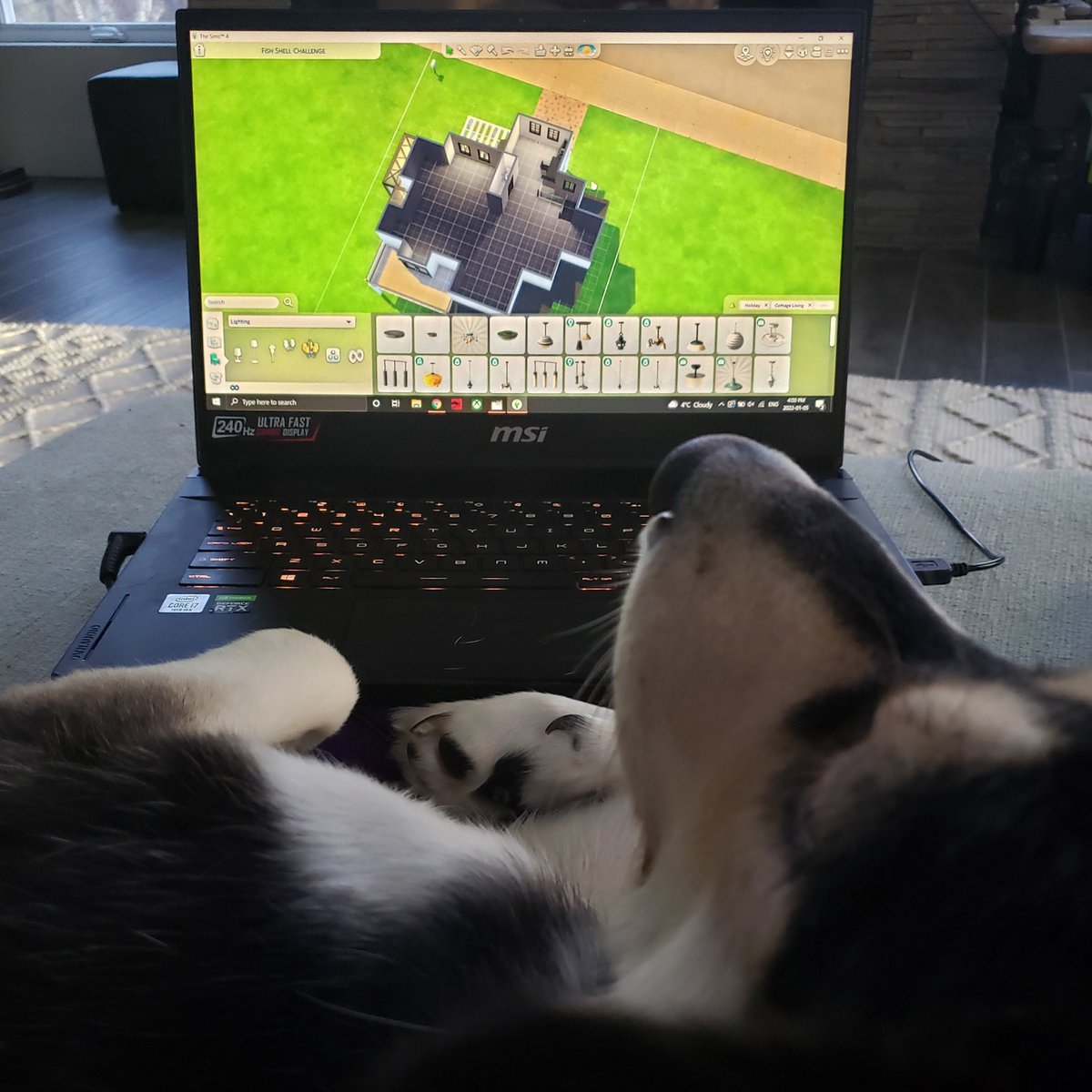 HannahCanada_'s tweet photo. Sable has taken over my #simsiefish #shellchallenge build π
πΆ
Anyone else's dog get jealous of their laptop? π
#Sims4 @lilsimsie https://t.co/90qafNr6gW