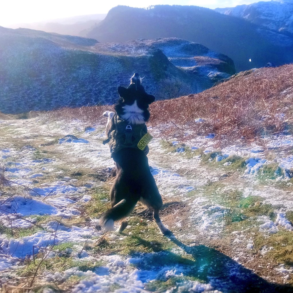 Nell & Jess tweet media