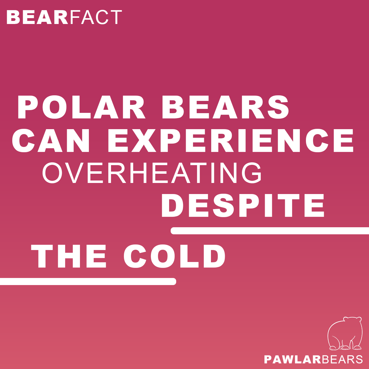PawlarBearNFT's tweet photo. #Joke #Fact #NFT #NFTgiveaway #RT #Like #PolarBear #Arctic #Community #NFTs #Giveaway https://t.co/0ERGE9hVaF