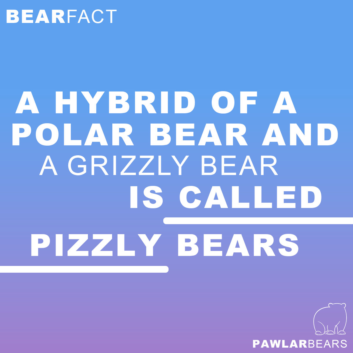 PawlarBearNFT's tweet photo. #Joke #Fact #NFT #NFTgiveaway #RT #Like #PolarBear #Arctic #Community #NFTs #Giveaway https://t.co/m2preL4kEw