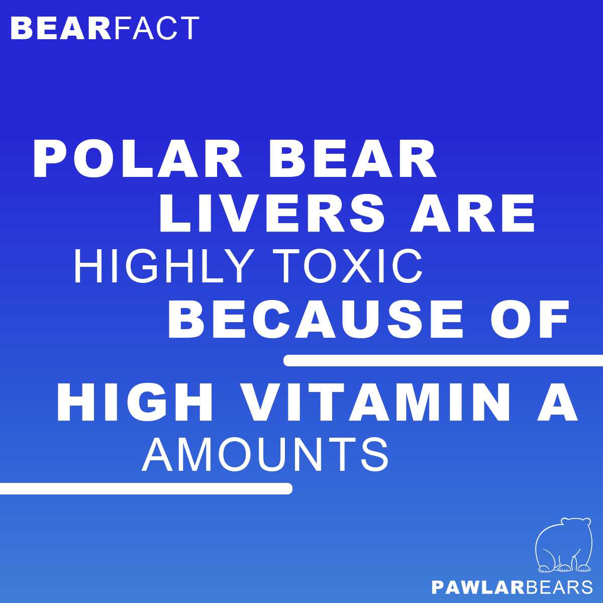 PawlarBearNFT's tweet photo. #Joke #Fact #NFT #NFTgiveaway #RT #Like #PolarBear #Arctic #Community #NFTs #Giveaway https://t.co/Mf2ApbqrLI