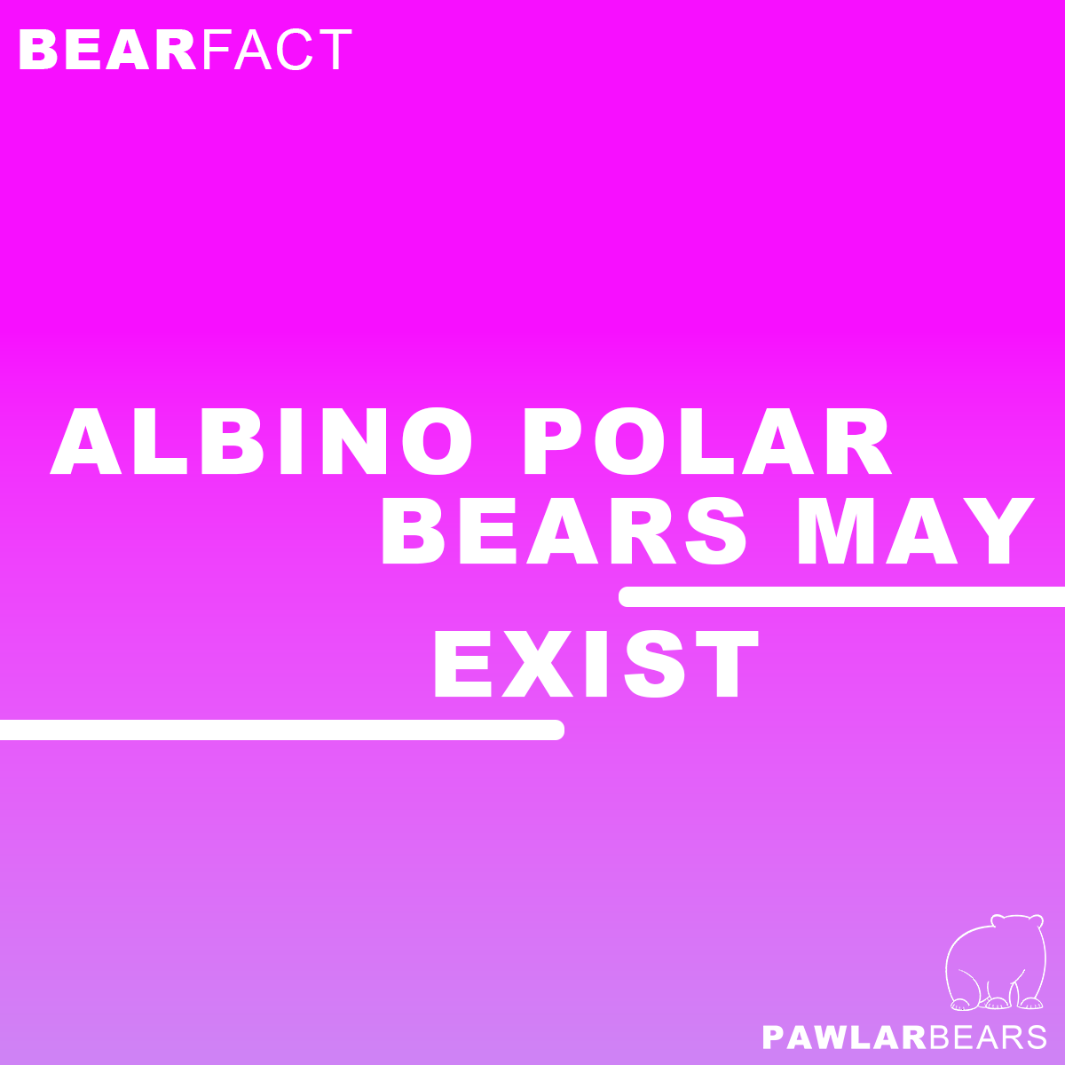 PawlarBearNFT's tweet photo. #Joke #Fact #NFT #NFTgiveaway #RT #Like #PolarBear #Arctic #Community #NFTs #Giveaway https://t.co/m5AdEkswpC