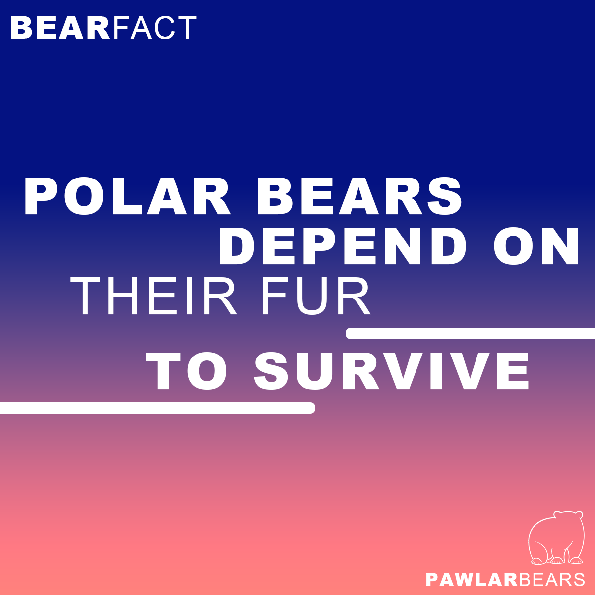 PawlarBearNFT's tweet photo. #Joke #Fact #NFT #NFTgiveaway #RT #Like #PolarBear #Arctic #Community #NFTs #Giveaway https://t.co/BQIgPkwEll