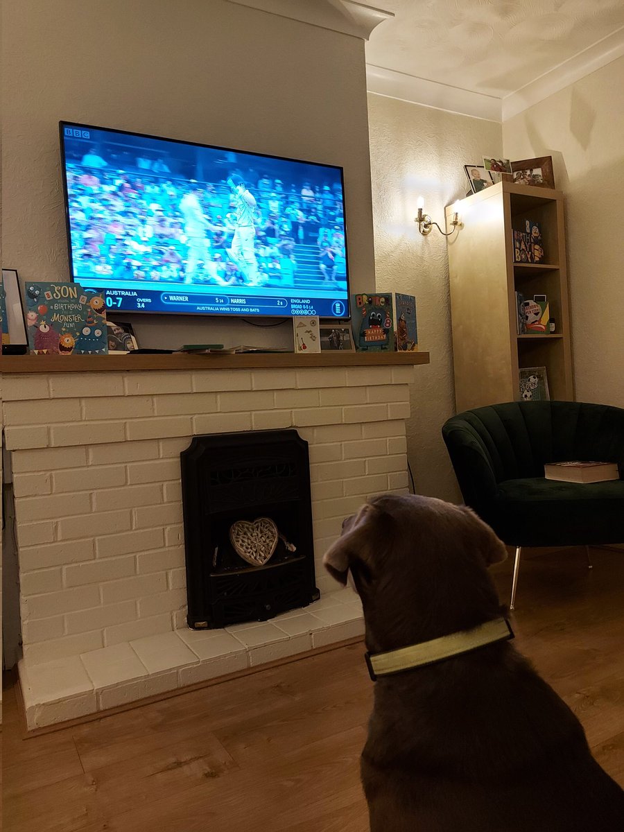 davoeato's tweet photo. Does Barney watch the cricket too @gregjames ? I'm sure Bess smiled when @jimmy9 got Labushagne :)#Ashes #tailwaggers #tailendersoftheworlduniteandtakeover @itsmattchin @felixwhite https://t.co/2RHIbFQguZ