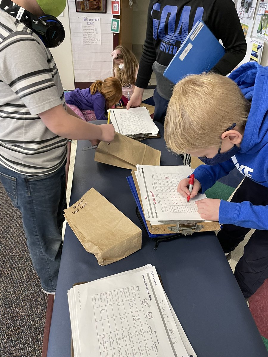 MrsToth03's tweet photo. Ss are working on Punnett Squares and discussing possible genotypes of plant offspring. #pltw #harvestlearn https://t.co/XqtH2gJp3r