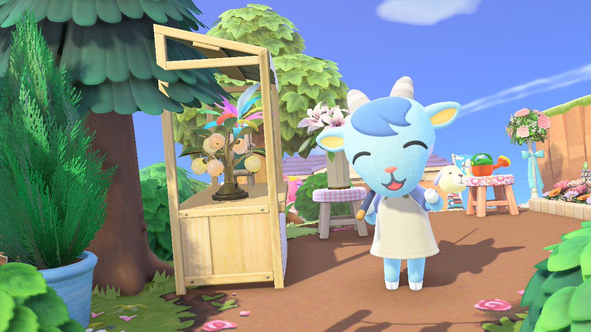 AntoACNH's tweet photo. Un bonsoir à tous de la part de Capri ! 

#NintendoSwitch #AnimalCrossingNewHorizions #AnimalCrossing https://t.co/AO9WnUGIm0