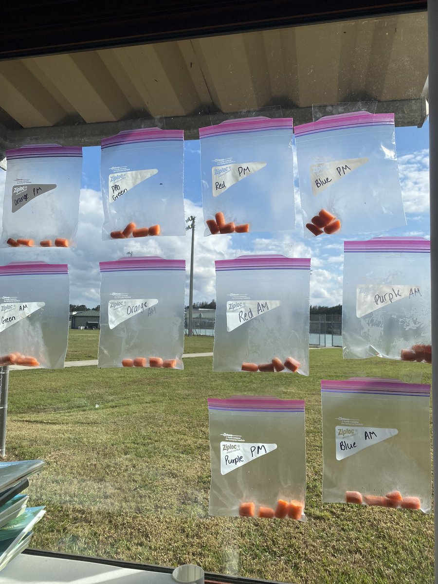 MrsDelgado5th's tweet photo. Today we started our changes in matter lab! 👩🏽🔬🥕#ChangesInMatter @WeAreHAEST @TurnerBartelsK8 https://t.co/MZJfnU5AOB
