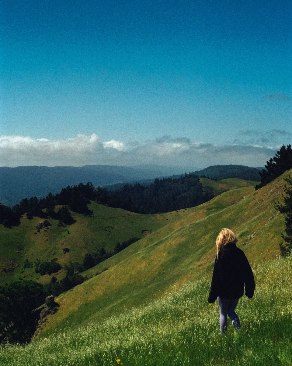 photos i shot on film from my collection “More than a Moment”