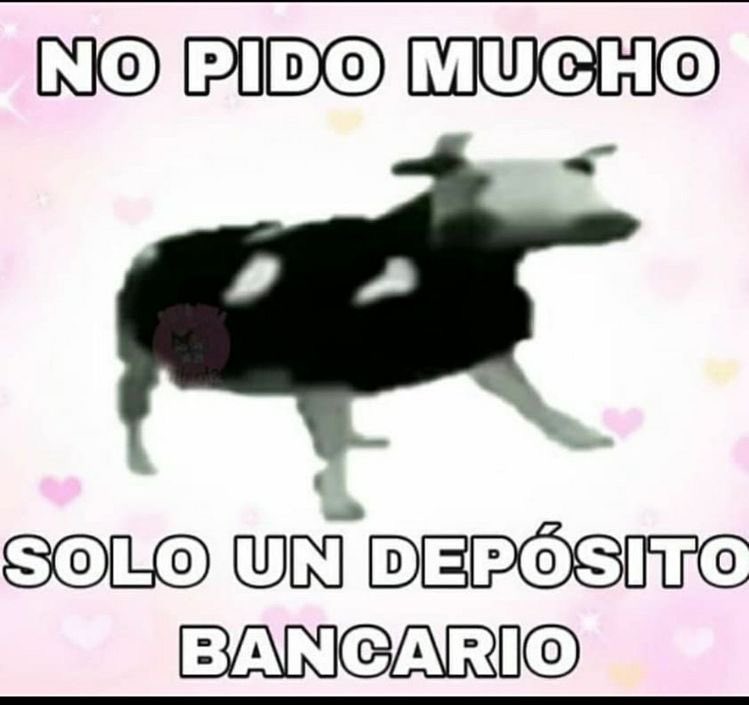 Jade Carrasco tweet media