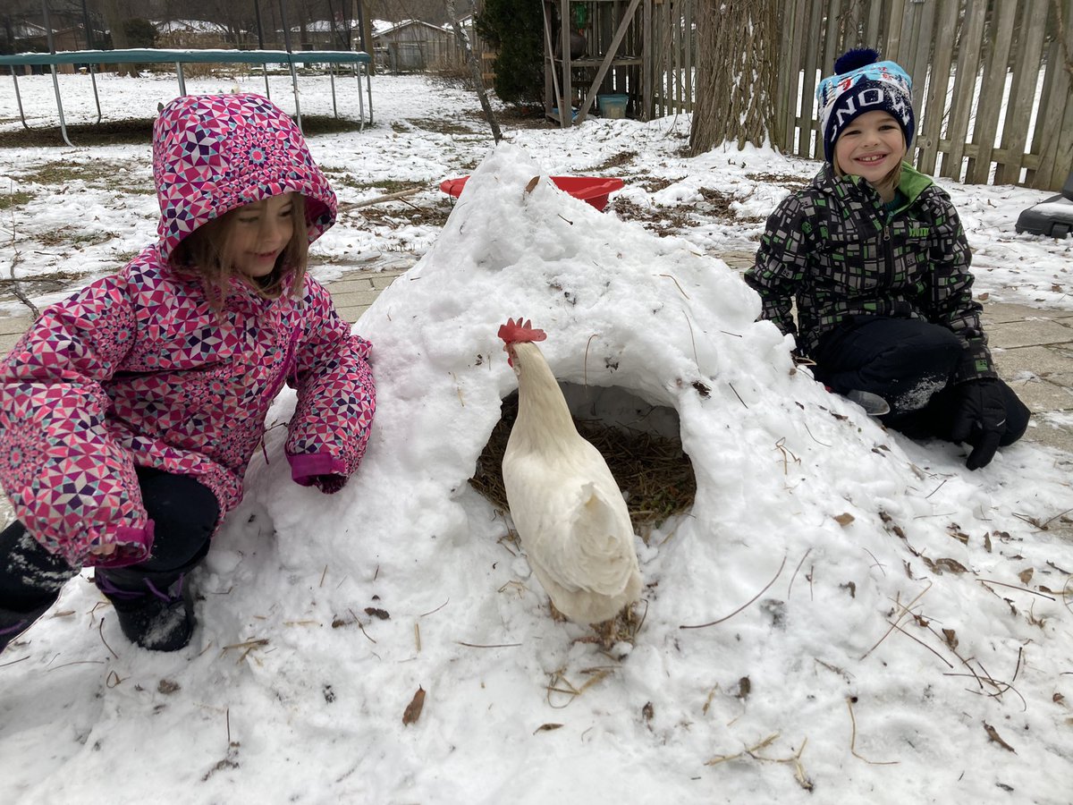 Hive2Home's tweet image. Ty and Mayla made a quinzhee for our chickens. ❤️ 🐓