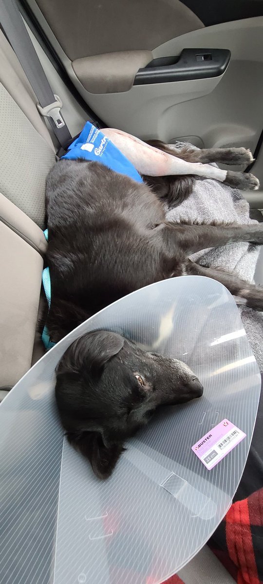 Bengineering tweet media