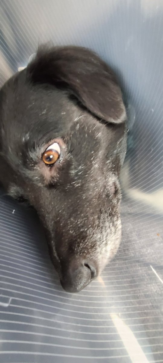 Bengineering tweet media