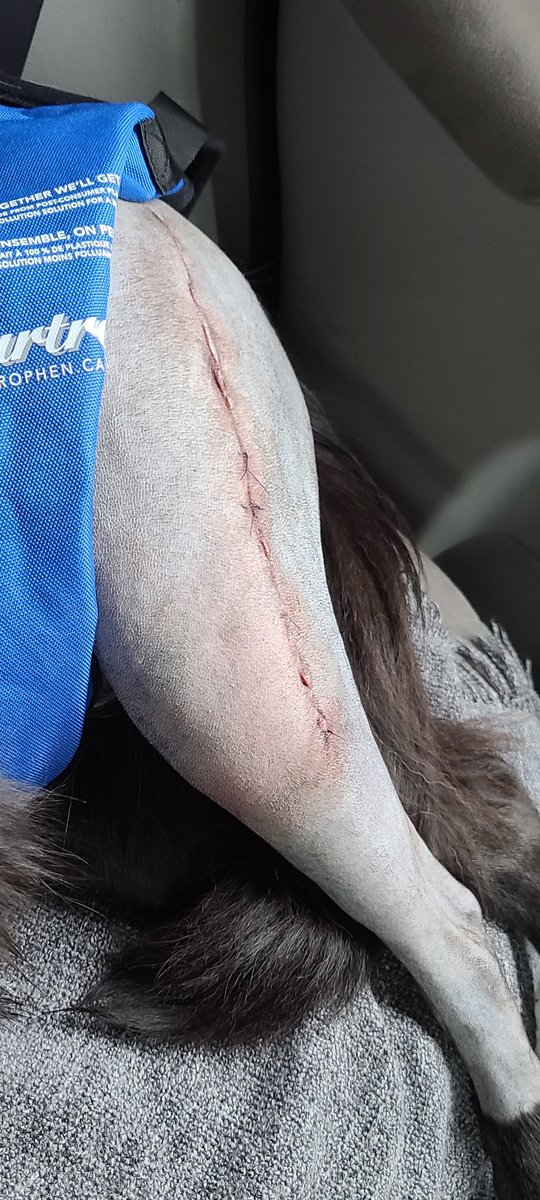 Bengineering tweet media